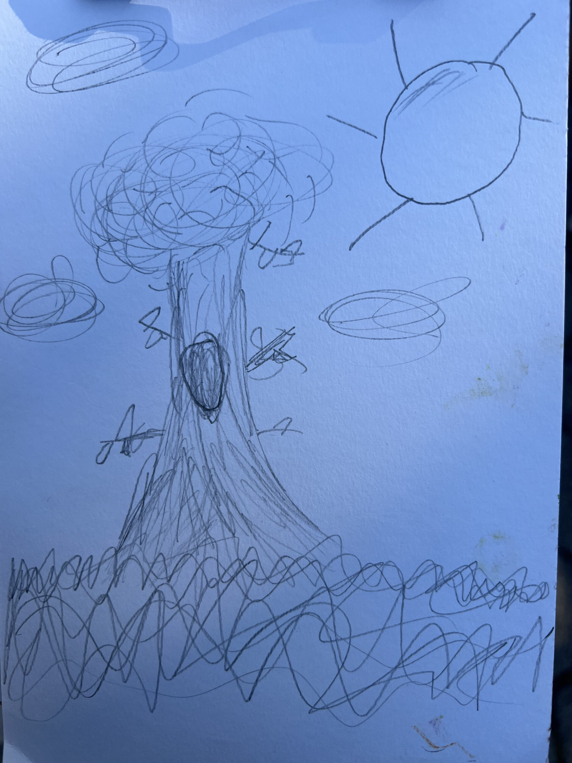 User Submitted Post